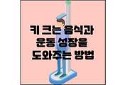 섬네일