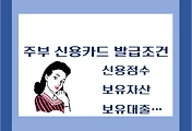 썸네일-주부 신용카드 발급조건 - 신용점수, 보유자산, 대출