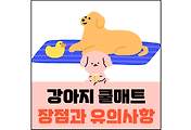 섬네일