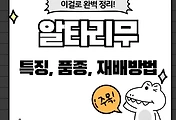 테스트5