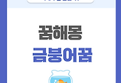 [꿈해몽] 금붕어 나오는 꿈 의미와 해석 썸네일