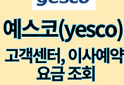 스킨이미지6