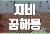 thumbnail6