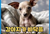 thumbnail6