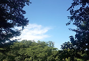 thumbnail5
