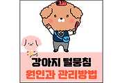 섬네일