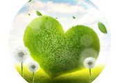 cover item6