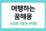 /entry/%EC%97%AC%ED%96%89%ED%95%98%EB%8A%94-%EA%BF%88%ED%95%B4%EB%AA%BD-54%EA%B0%80%EC%A7%80-%ED%92%80%EC%9D%B4-%E2%80%93-%EC%97%AC%ED%96%89%ED%95%98%EB%8A%94%ED%95%98%EB%8A%94-%EA%BF%88%ED%95%B4%EB%AA%BD-15%EA%B0%80%EC%A7%80-%ED%92%80%EC%9D%B4-%E2%80%93-%EC%97%AC%ED%96%89%ED%95%98%EB%8A%94-%EA%BF%88%EC%9D%98-%EC%9D%98%EB%AF%B8%EB%8A%94?category=1086519