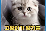 thumbnail6