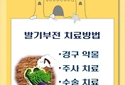 썸네일-BG-M/I/S