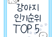반려동물 6