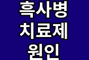thumbnai6