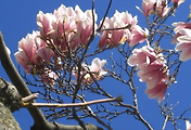 article_related_rep_thumbnail_link_1