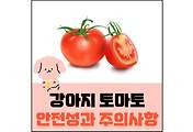섬네일