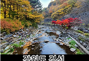 관련글썸네일