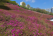 article_related_rep_thumbnail_link_1