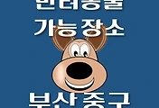 썸네일-부산 중구 강아지 출입 가능 식당, 카페, 펜션, 반려동물 동반 관람, 체험, 여행지 안내