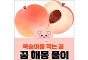 섬네일