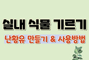 관련글섬네일