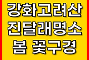 관련글썸네일