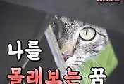 article_rep_thumbnail