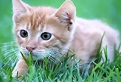 article_rep_thumbnail
