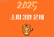 2025년 을사년 『소띠』 3월 운세 썸네일