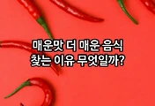 관련글이미지
