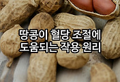 관련글이미지