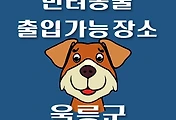 썸네일-울릉도 강아지 출입 가능 식당, 카페, 펜션, 반려동물 동반 관람, 체험, 여행지 안내
