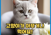 thumbnail6