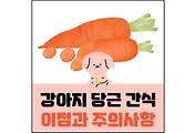 섬네일