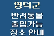썸네일-영덕군 반려동물 출입 가능 식당, 카페, 펜션, 강아지 동반 관람, 체험, 여행지 안내