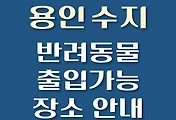 썸네일-용인 수지 강아지 출입 가능 식당, 카페, 펜션, 반려동물 동반 관람, 체험, 여행지 안내