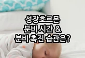 관련글이미지
