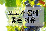 관련글이미지