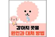 섬네일