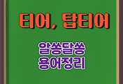 썸네일-티어, 탑티어, 1티어 알쏭달쏭 용어 정리(1)