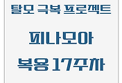 탈모 극복 프로젝트 | 내돈내산 | 피나모아 복용 17주차 관찰 후기 (두피사진 포함)