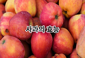 thumbnail6