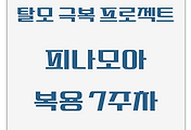 탈모 극복 프로젝트 | 내돈내산 | 피나모아 복용 7주차 관찰 후기 (두피사진 포함)