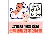 섬네일