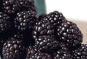 article_related_rep_thumbnail_link