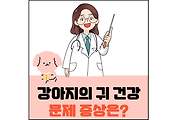섬네일