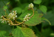 article_related_rep_thumbnail_link