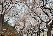 article-related-rep-thumbnail-link-C176x120