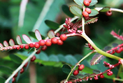 article_related_rep_thumbnail_link