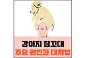 섬네일