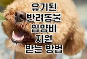 default_photo