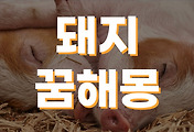 thumbnail6